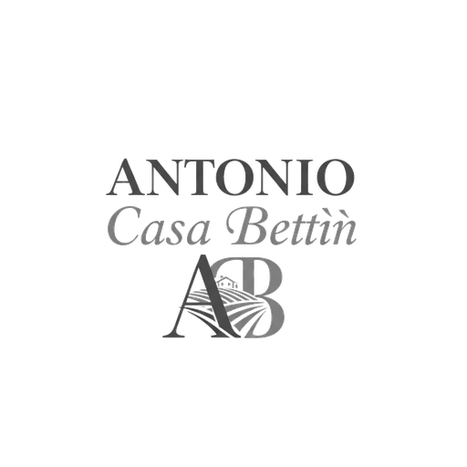 Antonio Casa Bettin
